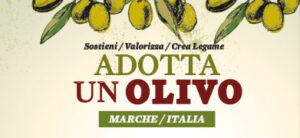 Adotta un olivo