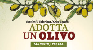 Adotta un Olivo Agriturismo Lalboreto Salvatico Marche